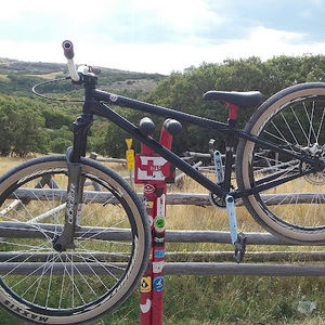 Meet your Posher, Devon